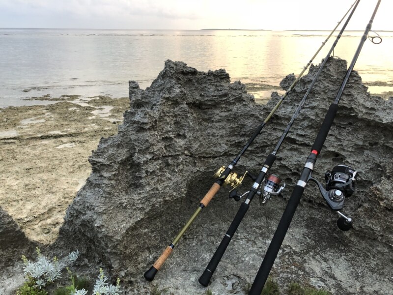 Gtの島 黒島遠征 おさかな図鑑