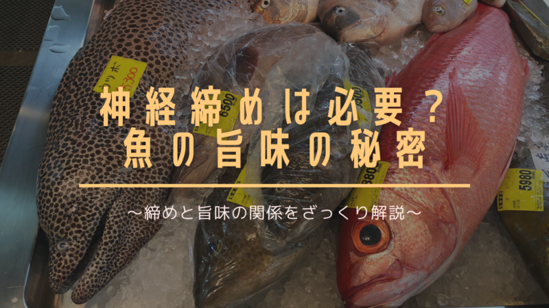 美味しく食べるには神経締めって必ず必要 魚の旨味の秘密 おさかな図鑑