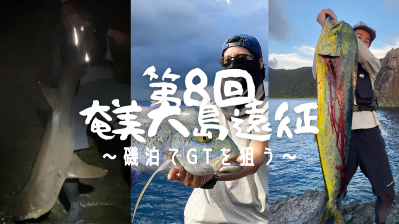 長島海峡 アオリイカ 4440g 13匹 沖〆速攻冷凍！ ☆鮮度抜群